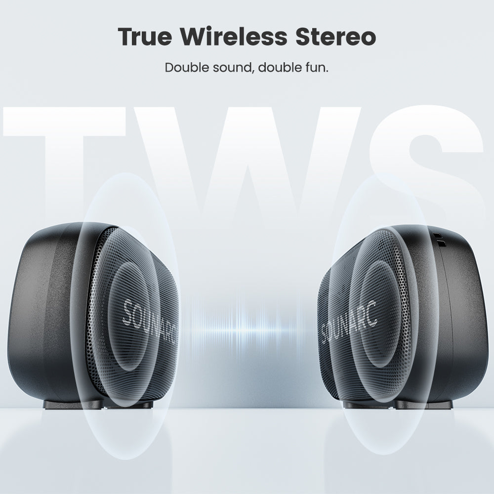 SOUNARC P1 Portable Speaker